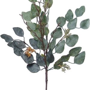 Eucalyptus - Premium